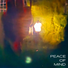 Peace of Mind [prod. by Charlie P]