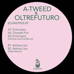 PREMIERE – A-Tweed X Oltrefuturo – Ashtray Lips (Haus of beats)