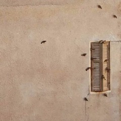 من لا يملكون مفتاح البيت - بلال علاء