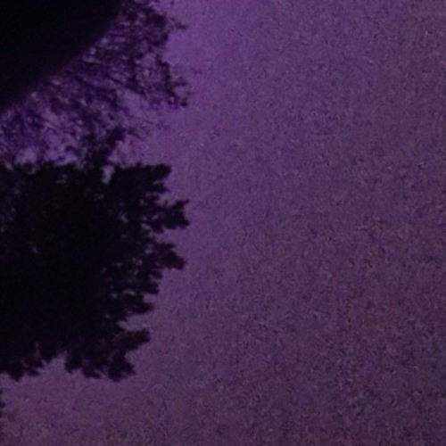 Eternal Evening