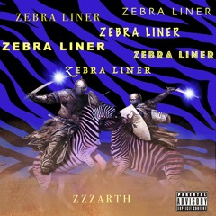 Zebra Liner (prod @prodxiaoniao)