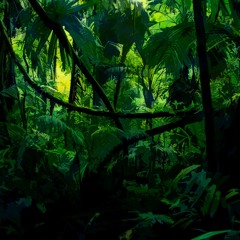 Jungle Minimal
