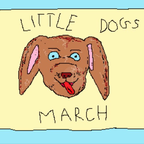 Little Dogs March- Mac Demarco (Fins n Tins cover)