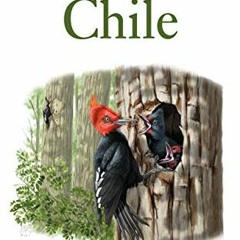 [READ] [EBOOK EPUB KINDLE PDF] Field Guide to the Birds of Chile (Helm Field Guides) by  Daniel E. M