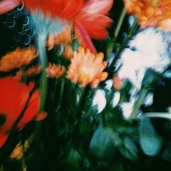 #mirror ⋆ humanangst ⋆ oghntr (clvr)