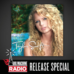 Teardrops On My Guitar (Radio Single Remix)