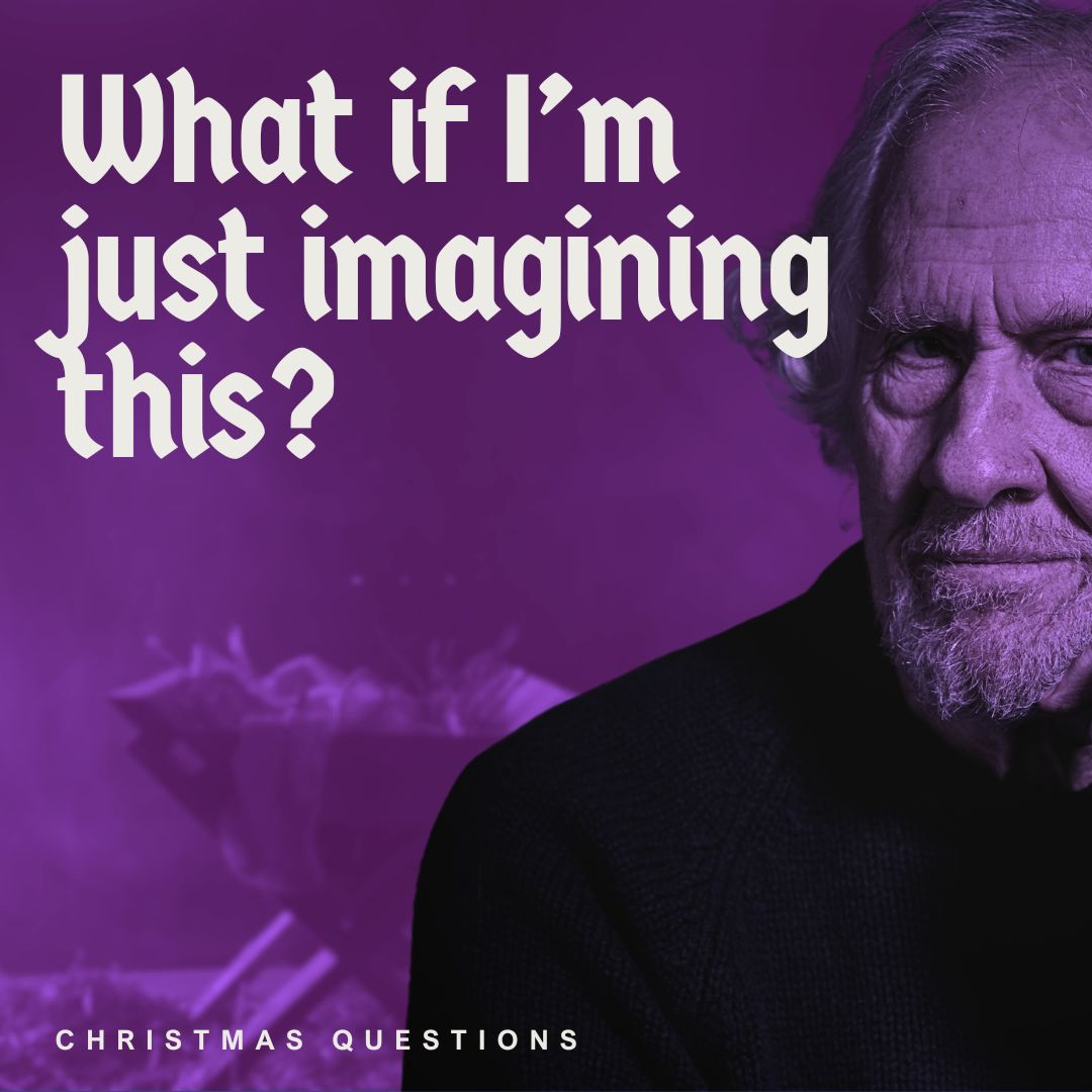24/12/01 | What If I'm Just Imagining This | David Schnitter episode artwork