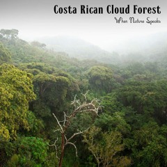 Costa Rican Cloud Forest