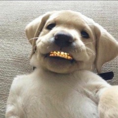 Off The DrugZzZz