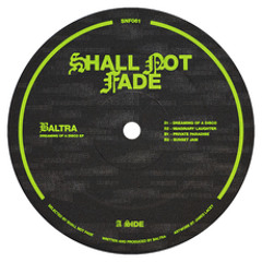 Baltra - Dreaming of a Disco [Shall Not Fade] (2021)