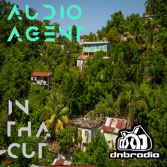 In Tha Cut 129 (DNBRadio 04-28-2024)