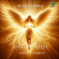 Angel of My Life