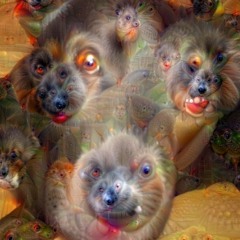 Psychedelic experience
