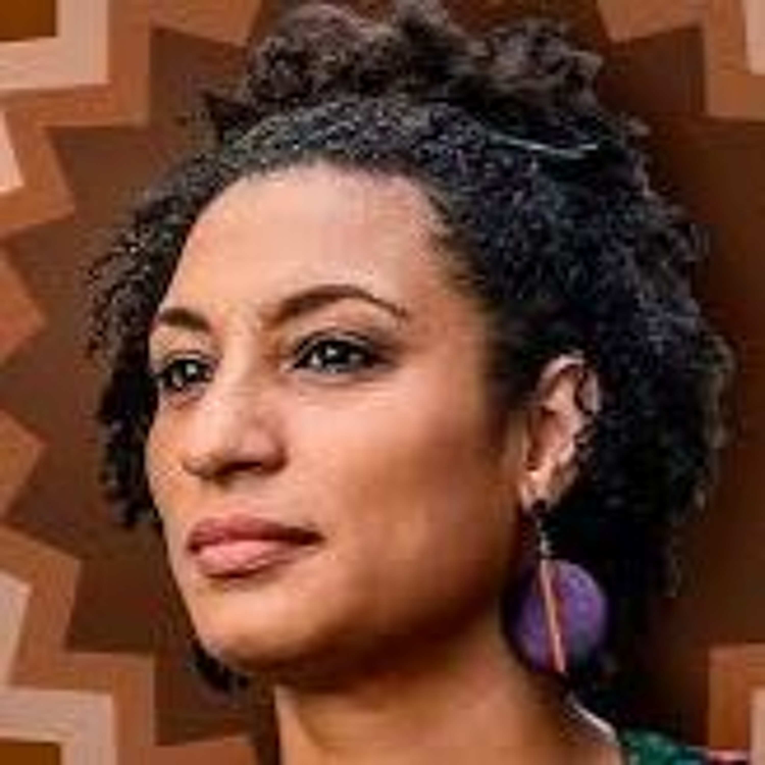 24.03.2026 = DIA 30 DE MARÇO HAVERÁ ENTREGA DO PRÊMIO MARIELLE FRANCO AQUI NA CÂMARA DE SP episode artwork