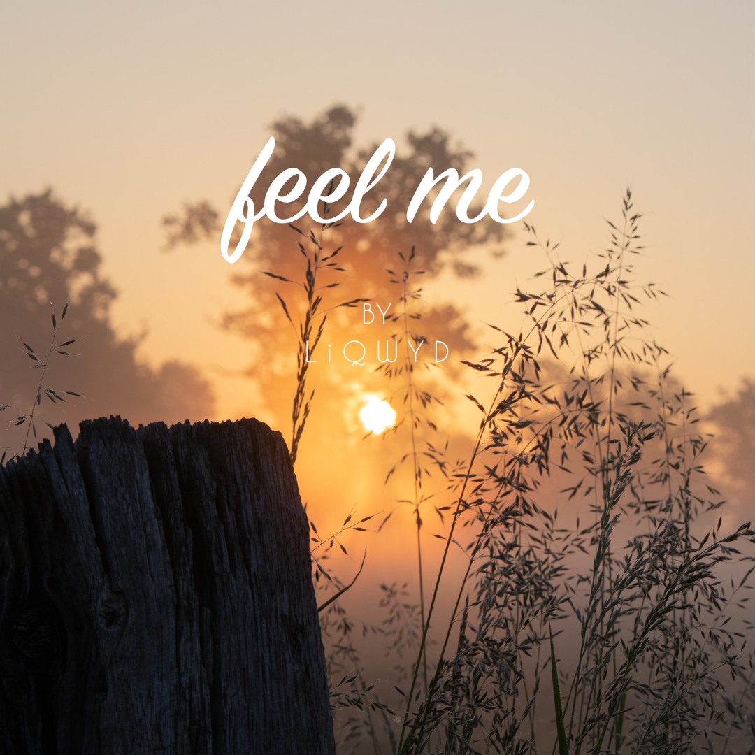 Listen to Feel Me (Free download) by LiQWYD in LiQWYD playlist