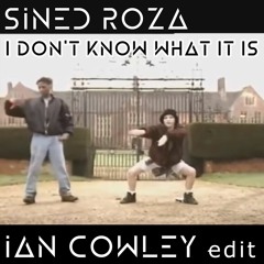 Sined Roza - I Don't Know What It Is (1990) (Ian Cowley Rework)