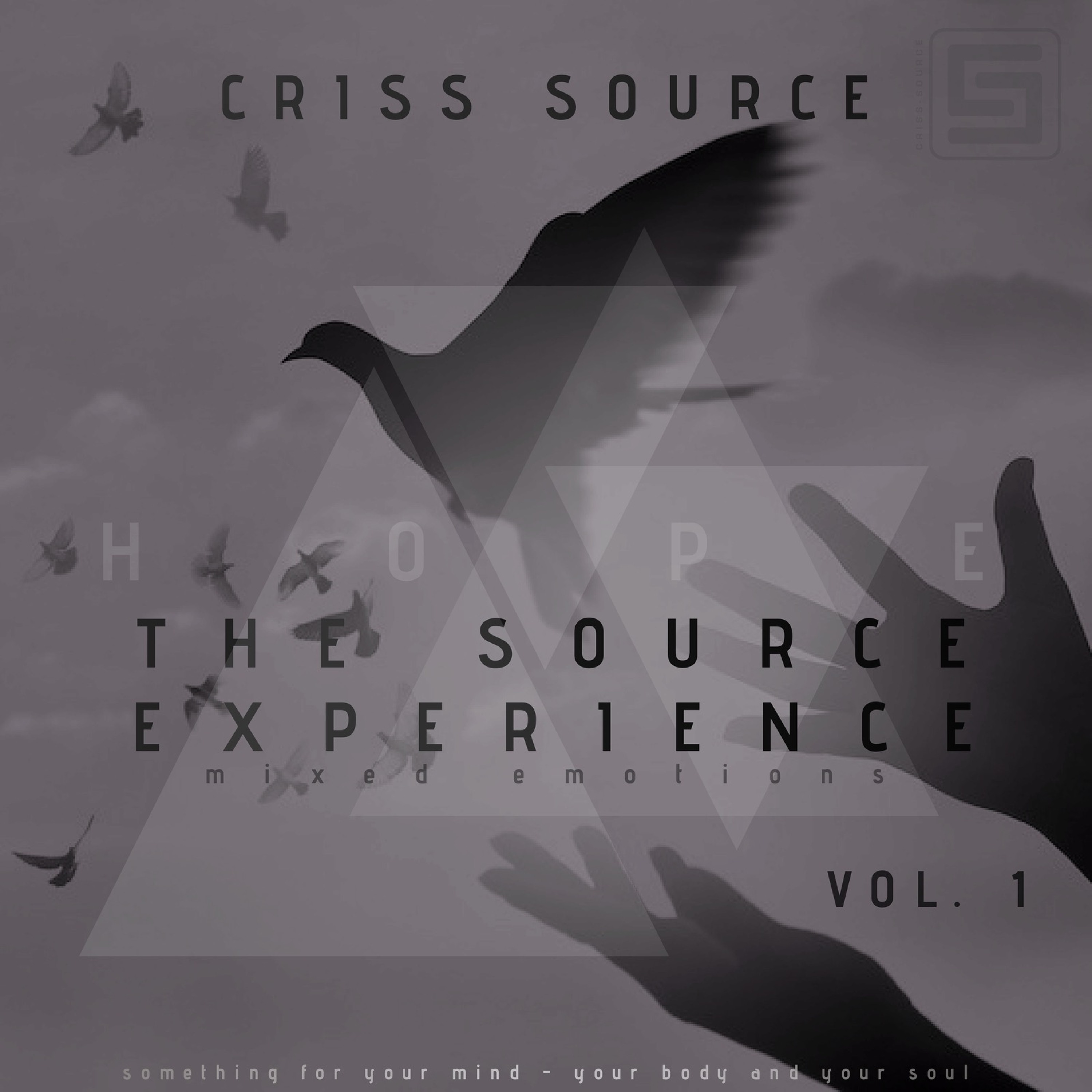 The Source Experience Vol.1 episode artwork