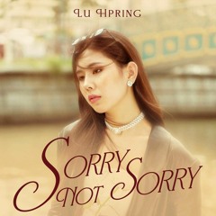 Sorry Not Sorry Lu Hpring By FLASHBACK Remix Out Now