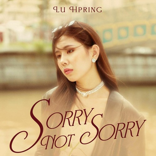Sorry Not Sorry Lu Hpring By FLASHBACK Remix Out Now
