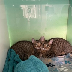 leave me bl##dy w/bleakpuppet