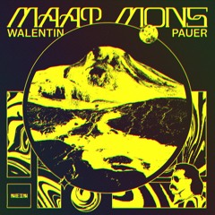 PREMIERE: Walentin Pauer - Maat Mons