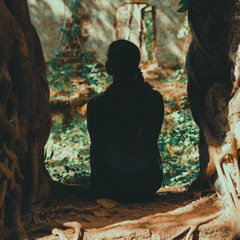 Roots