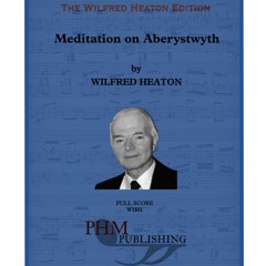 Wilfred Heaton - Meditation on Aberystwyth