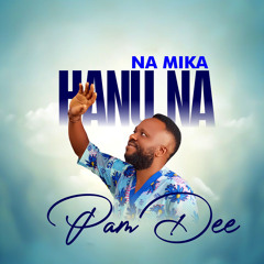 Na Mika Hanu Na