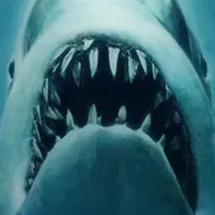 Tuesday Titter - JAWS OF LIFE.