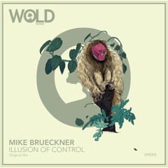 MIKE BRUECKNER - Illusion Of Control (Original Mix)