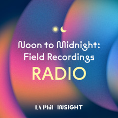 Noon to Midnight: Field Recordings Radio (Full Program)
