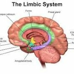 Glacier - Enough VIP