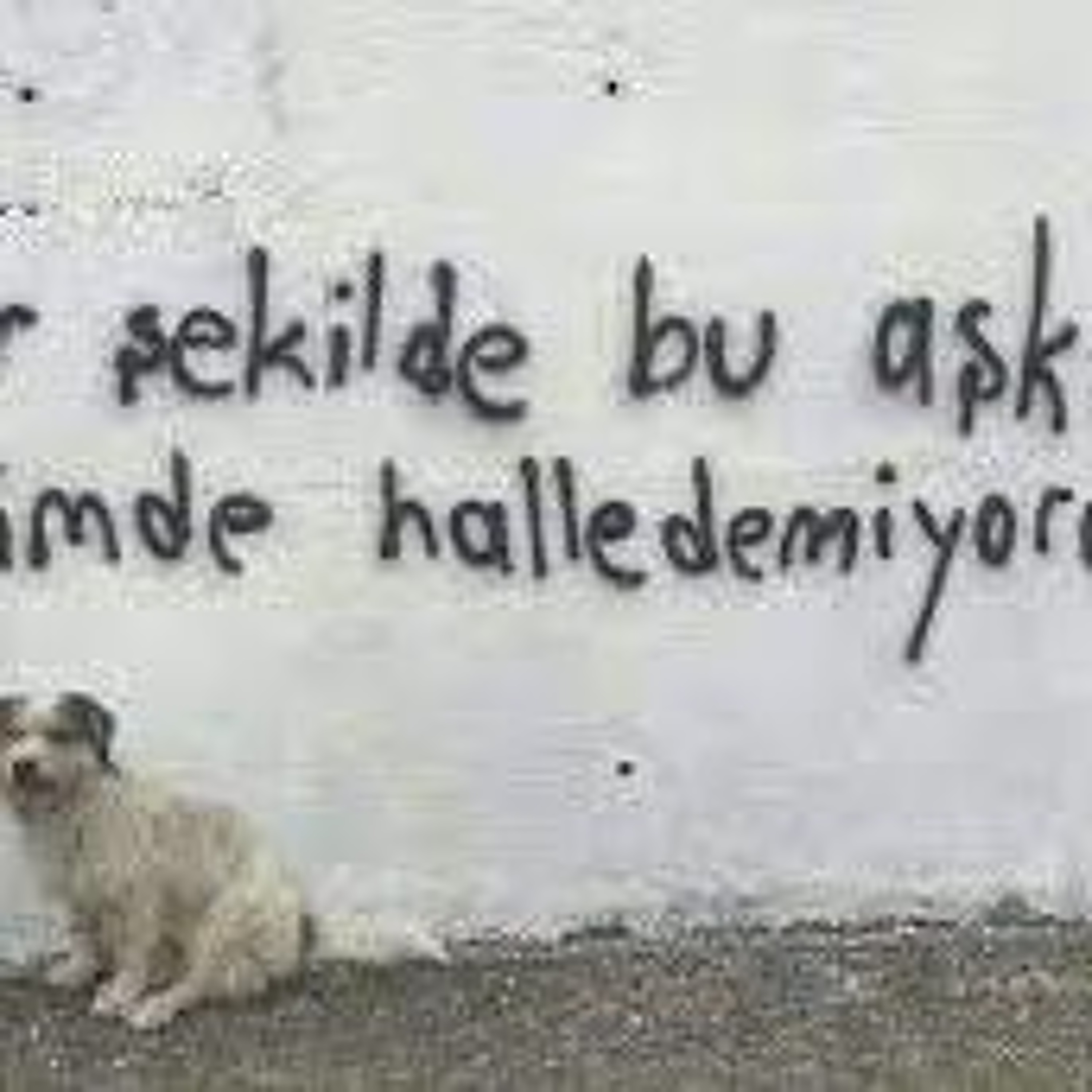 nadide gözdeler
