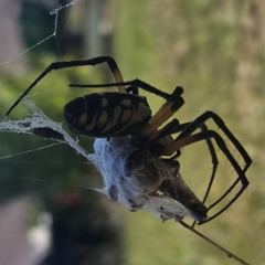 Juice WRLD- Chemical Imbalance (Full Studio Session Cdq)