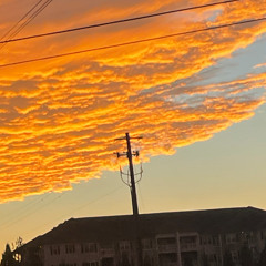 Better Days Thy Lord Shall Provide