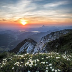 Worship and Prayer 15 May 2024