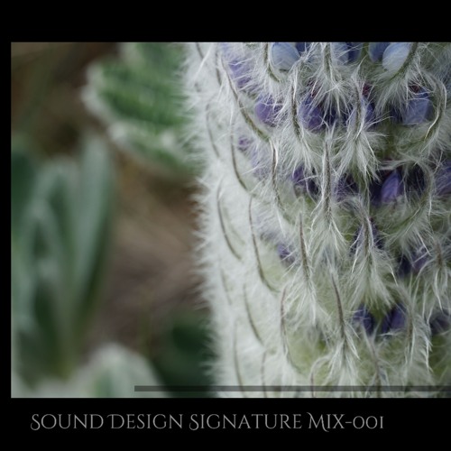 Sound Design Signature Mix - 001