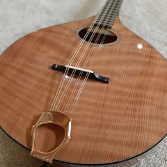 Pau Ferro & Redwood Sig. Bouzouki