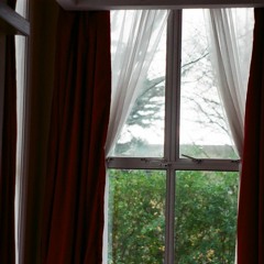 You're an Ocean, I Love To Swim