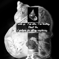 Sylvan_Serendipity_final