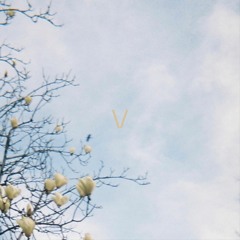 THE WOMAN, THE MACHINE