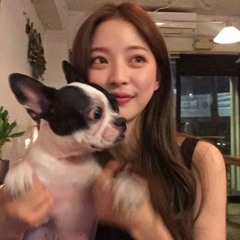 pop songs playlist