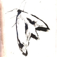 RUido PASTEL - UN ESPACiO