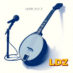LDSR 212 2