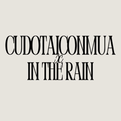 Say Hi x Kpop #5: Cứ Đổ Tại Cơn Mưa x In The Rain
