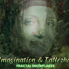 Imagination project & TaNezha- Fractal snowflakes