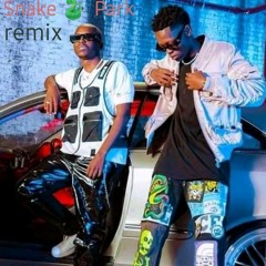 Mellow & Sleazy-Snake park (2kstarz remix 2022).mp3