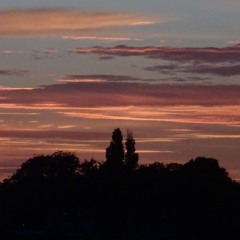 'Prière'  (Ps. 141:2)  Kees van Eersel.