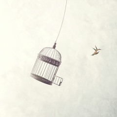 Harmoniusz - Prarabdha Karma@Chill Out Session@21.02.2025