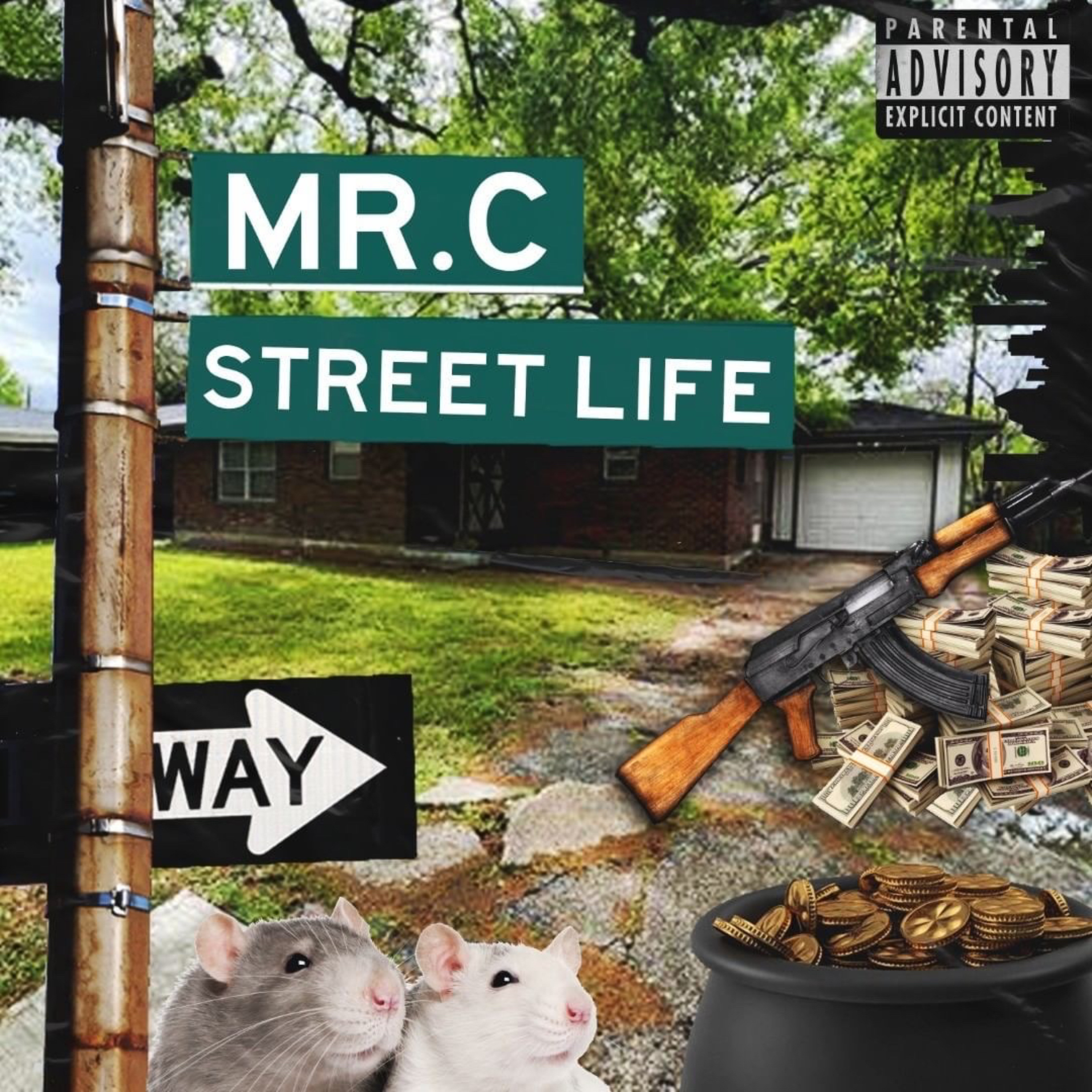The Birth of Mr.C